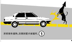 湛江最新爆料撞车,惊心动魄的撞车现场！  第2张